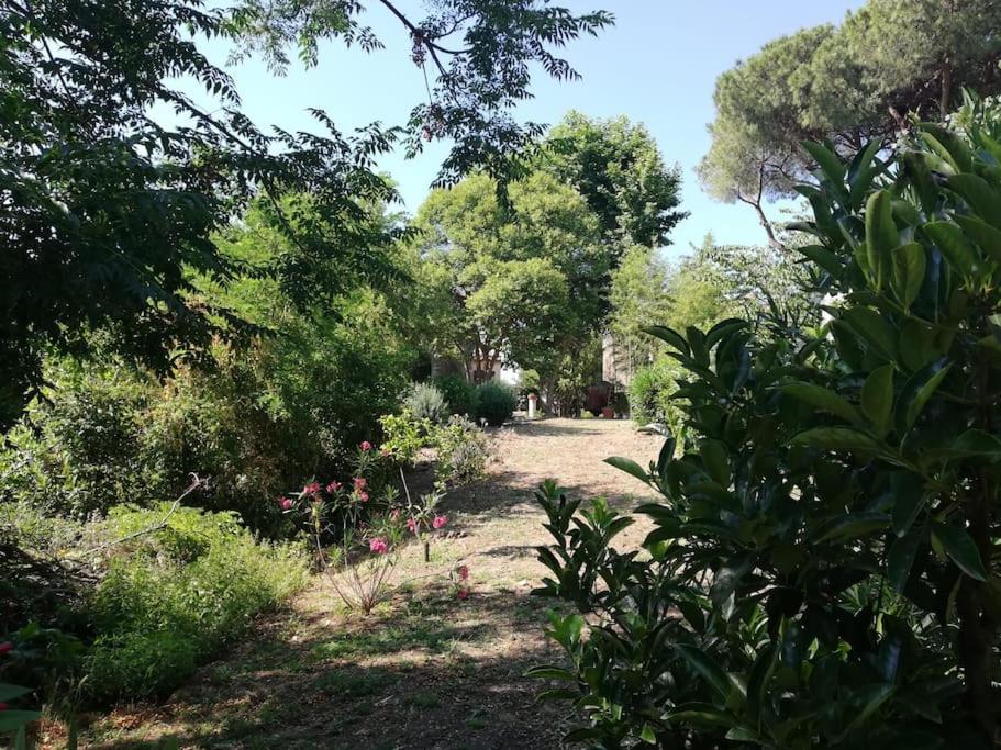 Appartamento Roma, Kültér fotó